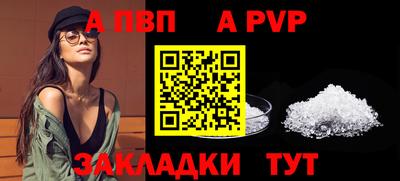 spice Гатчина