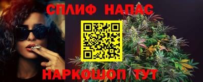 твердый Гай