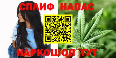 spice Гатчина