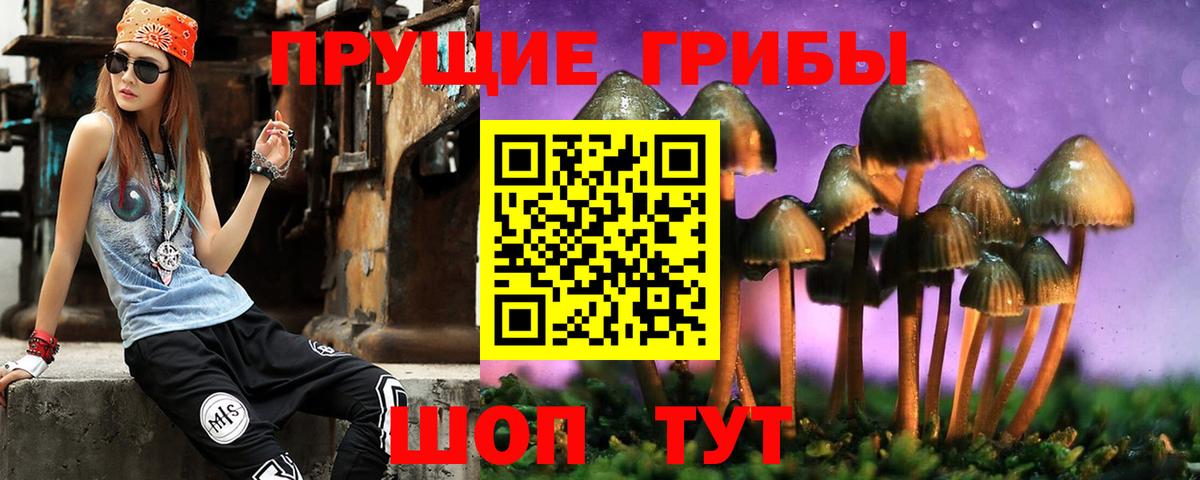 Галлюциногенные грибы Psilocybe  Псилоцибиновые грибы прущие грибы  Вход с VPN  купить закладку  Городец 